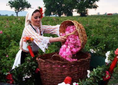 долината на розите