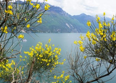 Lago di Garda