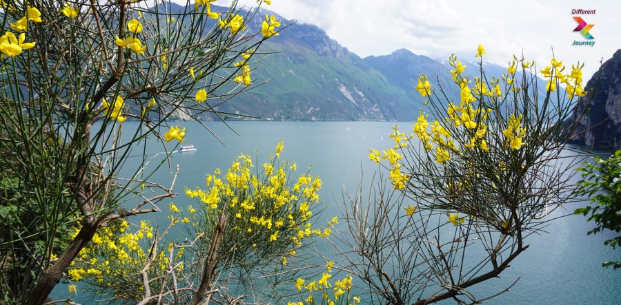 Lago di Garda
